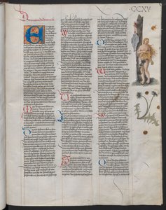 Ambraser Heldenbuch, yaprak 215r. Kalkan üzerindeki VF baş harflerinin sanatçıya ait olduğu varsayılır. by Österreichische Nationalbibliothek,